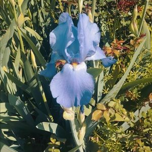 Meet your Posher, Lana